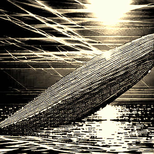 Code is Law, But People Are the Protocol: Lessons from Trump's Energy Holdings Disclosures for Blockchain Transparency Code is Law, But People Are the Protocol: Lessons from Trump's Energy Holdings Disclosures for Blockchain Transparency