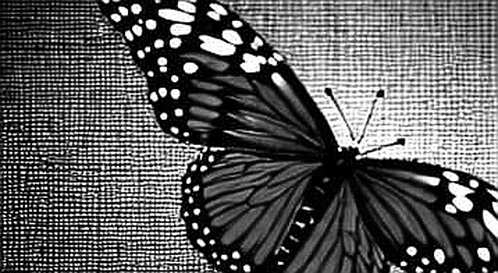 The 13F Post-Mortem: How a $20B AI Bet Imploded on Its Own Concentration The 13F Post-Mortem: How a $20B AI Bet Imploded on Its Own Concentration